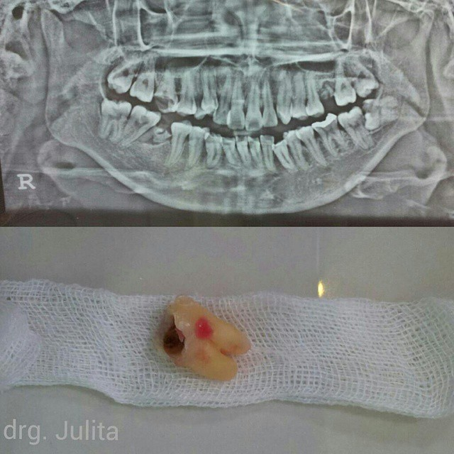 whatsapp image 2025 10 29 at 09.25.55